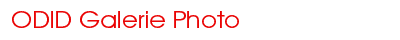 Explore our site
